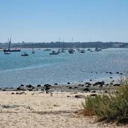 Seixal Market (Mercado Municipal do Seixal) - Seixal