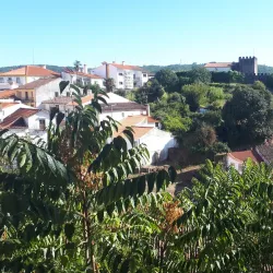 Igreja Matriz de Sertã (Main Church) - Serta