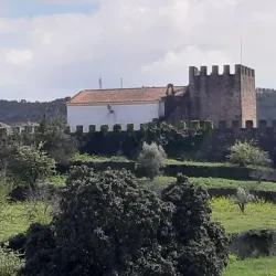 Igreja Matriz de Sertã (Main Church) - Serta