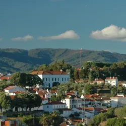 Museu Municipal de Sertã - Serta