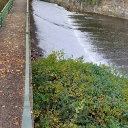 Museu Municipal de Sertã - Serta