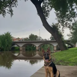 Parque de Lazer da Sertã - Serta