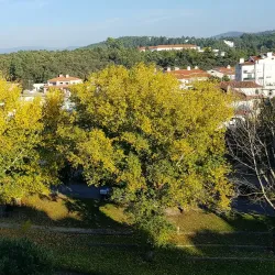 Pelourinho de Sertã (Pillory) - Serta
