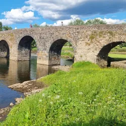 Ponte Medieval da Sertã (Medieval Bridge) - Serta
