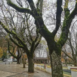 Ponte Medieval da Sertã (Medieval Bridge) - Serta