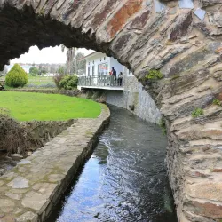 Ponte Medieval da Sertã (Medieval Bridge) - Serta