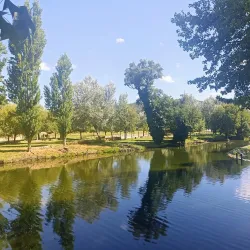 Ponte Medieval da Sertã (Medieval Bridge) - Serta