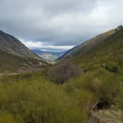 Zêzere River - Serta
