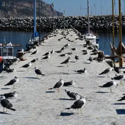 Marina de Sesimbra - Sesimbra