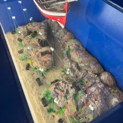 Museu do Mar (Sea Museum) - Sesimbra