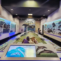 Casa da Baía - Setubal