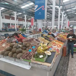 Mercado do Livramento - Setubal