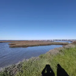 Sado Estuary Nature Reserve - Setubal