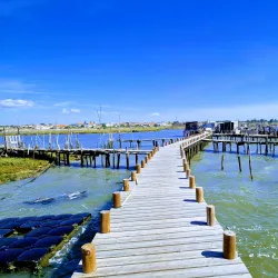 Sado Estuary Nature Reserve - Setubal