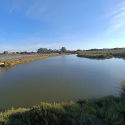 Sado Estuary Nature Reserve - Setubal