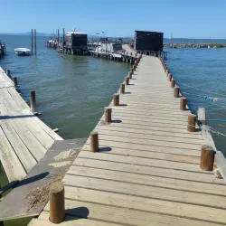 Sado Estuary Nature Reserve - Setubal