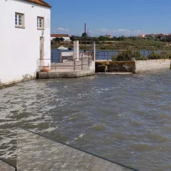 Sado Estuary Nature Reserve - Setubal