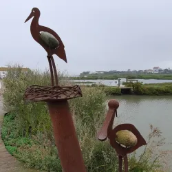 Sado Estuary Nature Reserve - Setubal