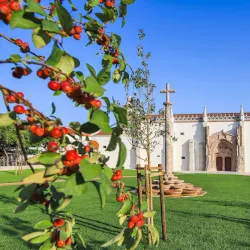 Setúbal Museum - Setubal