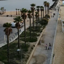 Arade River - Silves