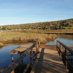 Arade River - Silves