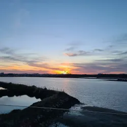 Arade River - Silves