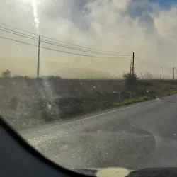 Cork Museum (Museu do Cortiça) - Silves
