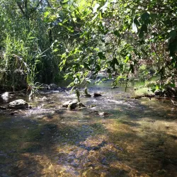 Fonte Benémola Nature Reserve - Silves
