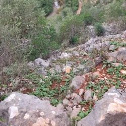 Fonte Benémola Nature Reserve - Silves