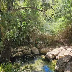 Fonte Benémola Nature Reserve - Silves