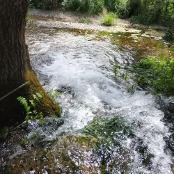 Fonte Benémola Nature Reserve - Silves