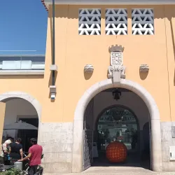 Silves Market - Silves