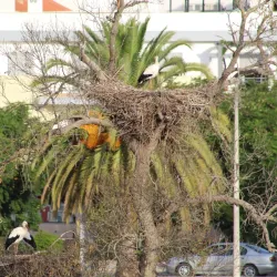 Silves Old Town - Silves