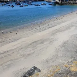 Sines Beach (Praia de Sines) - Sines