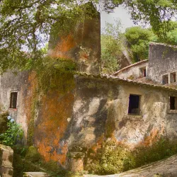 Convent of the Capuchos (Capuchos Convent) - Sintra