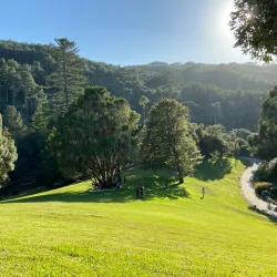 Monserrate Palace and Gardens - Sintra
