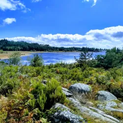 Parque Natural do Alva - São Pedro do Sul