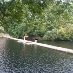 Rio Vouga - São Pedro do Sul