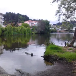 Rio Vouga - São Pedro do Sul