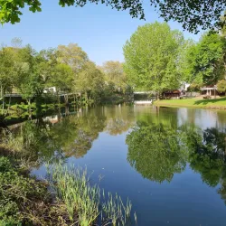 Termas de São Pedro do Sul - São Pedro do Sul