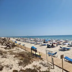 Praia do Barril - Tavira