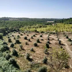 Aqueduct of Pegões - Tomar