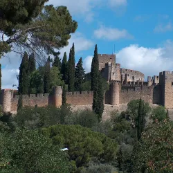 Castle of Tomar - Tomar