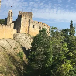 Castle of Tomar - Tomar