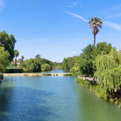 Mouchão Park - Tomar