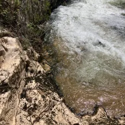 Nabão River Walk - Tomar