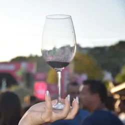 Festival do Vinho e da Uva (Wine and Grape Festival) - Torres Vedras
