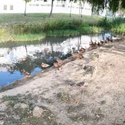 Parque Urbano de Torres Vedras - Torres Vedras