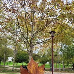 Parque Urbano de Torres Vedras - Torres Vedras