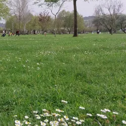 Parque Urbano de Torres Vedras - Torres Vedras